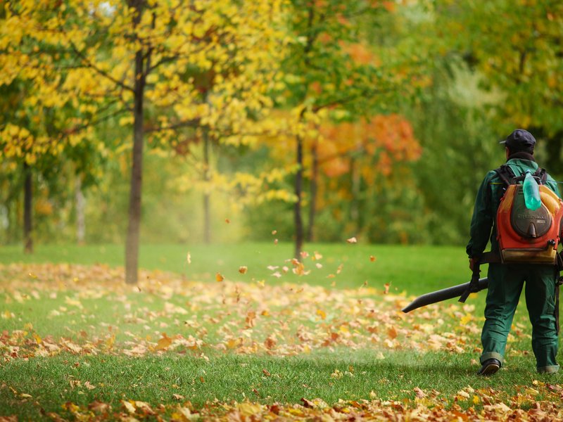 Man using a leaf blower